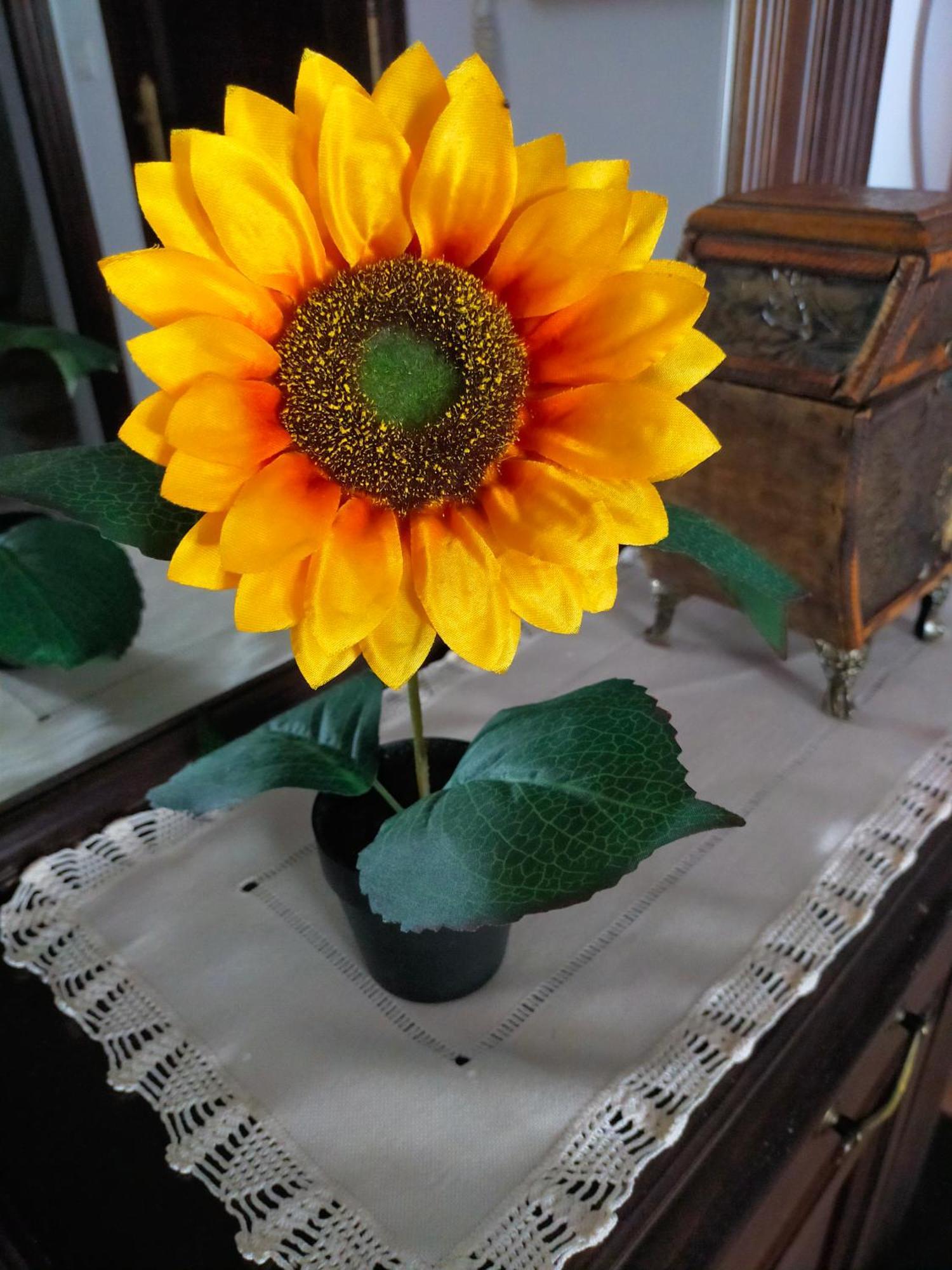Los Girasoles Ольвера Екстер'єр фото